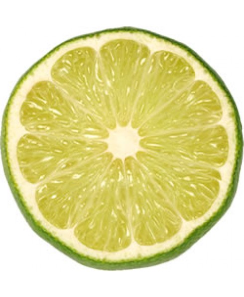 Lemon Lime - Kosher Passover